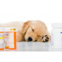 Ветеринарные препараты био