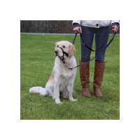 TRIXI намордник тренировочный размер L-XL 37 см