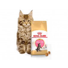 Royal Canin Kitten Мaine Coon 400г для котят мейн-кун