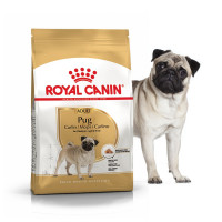 Royal Canin Pug Adult 500 г для взрослых собак породы мопс