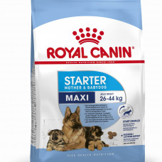 Royal Canin Maxi Starter 4кг для щенков крупных пород, беременных и кормящих сук