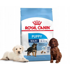 Royal Canin Maxi Puppy 15 кг для щенков крупных пород 2-15 мес.