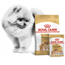 Royal Canin Pomeranian Adult 500 гр+1 пауч для взрослых собак породы Померанский шпиц