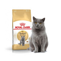 Royal Canin Adult British Shorthair 2кг для британских кошек, Роял Канин для кошек
