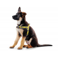 Hunter Neopren Vario Quick XL (79-100)/2.5см шлейка серая