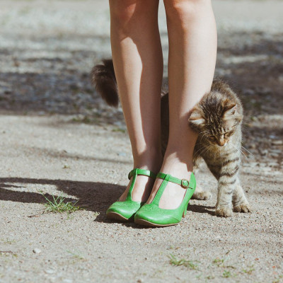 Почему кошки трутся об ноги?