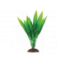 Растение Эхинадорус зеленый,200 мм Laguna