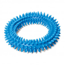 Игрушка TRIOL Кольцо с шипами