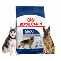 Royal Canin Maxi Adult 3кг для взрослых собак крупных пород