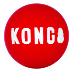 Kong