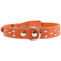 Однослойный ошейник шириной 25 мм, украшенный металлическими заклепками, обхват шеи 39-53 см, натуральная кожа, артикул О25