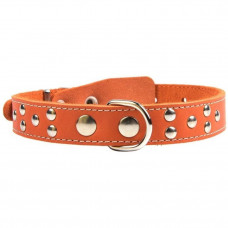 Однослойный ошейник шириной 25 мм, украшенный металлическими заклепками, обхват шеи 39-53 см, натуральная кожа, артикул О25