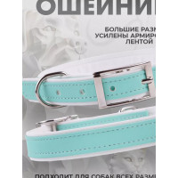 Ошейник экокожа ширина 2,5 см ОШ 38-52 см мятный Pastel (Аркон)
