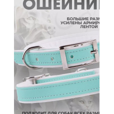Ошейник экокожа ширина 2,5 см ОШ 38-52 см мятный Pastel (Аркон)
