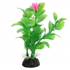 Растение Незея цветущая зеленое/розовое, 200мм, Laguna