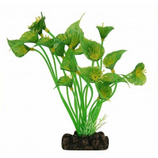 Растение Спатифиллум зеленый, 200мм, Laguna