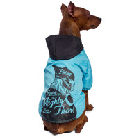 Triol 12251154 Дождевик-попона Marvel Тор, размер S