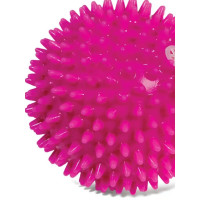 Triol 12101062 Игрушка для собак Мяч игольчатый, d70мм